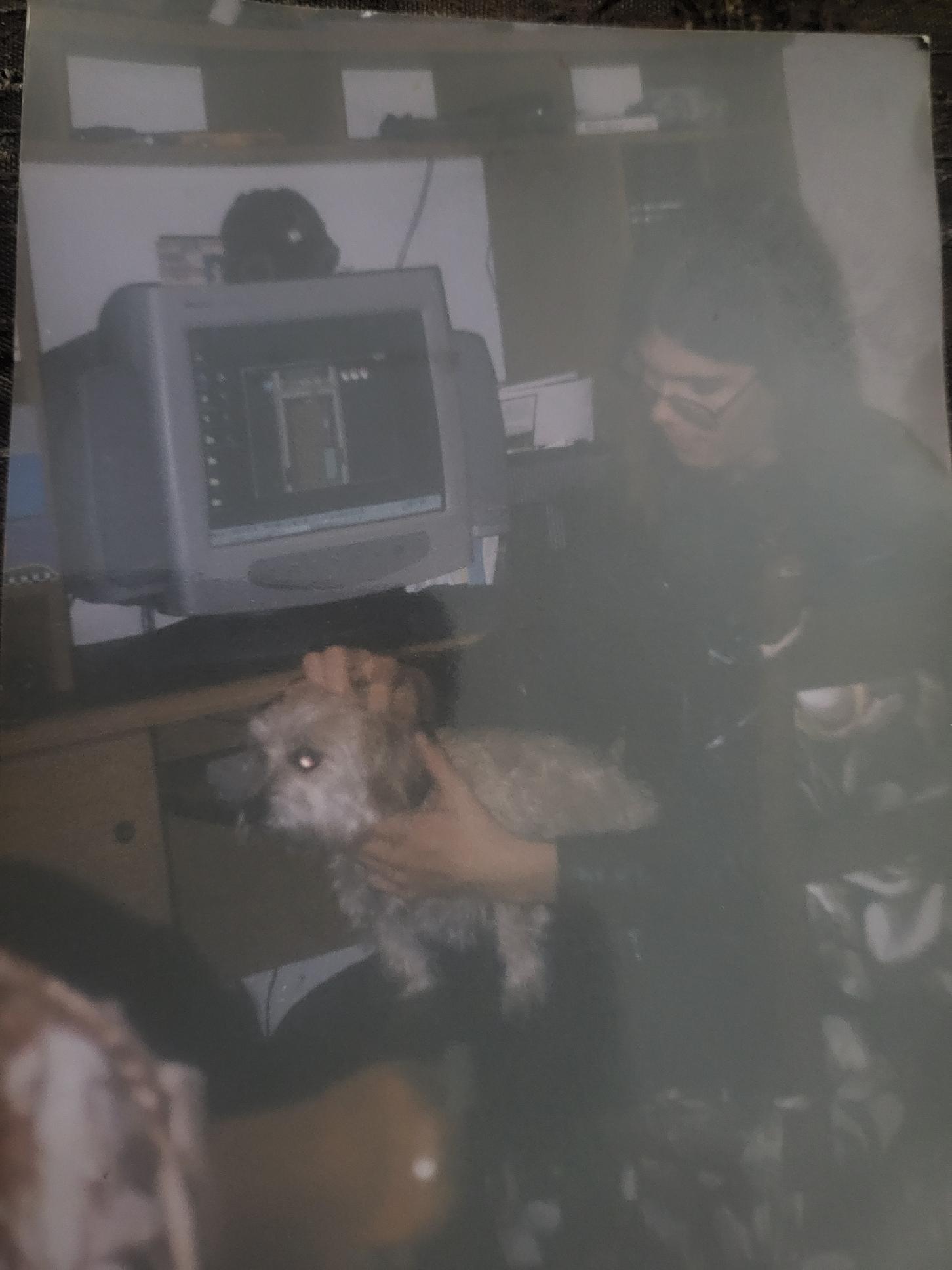 PACHUKA, First Level Administrator Playing Graal • provided by Antago, JEST®