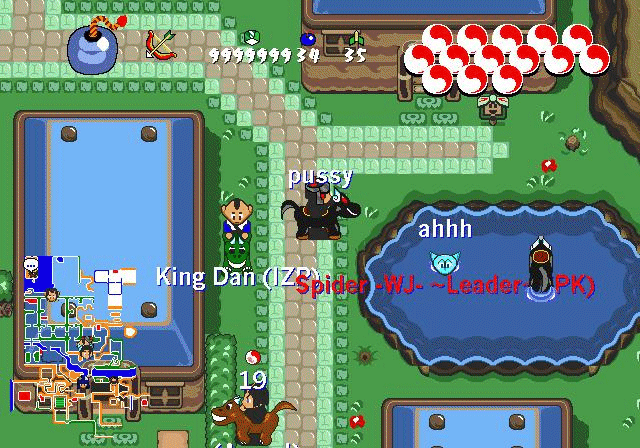 Spider Hides in Water